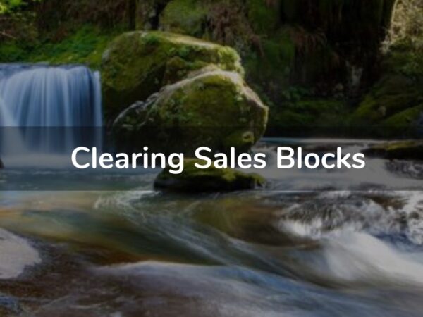 Clearing Sales Blocks